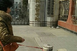 óѧԺ