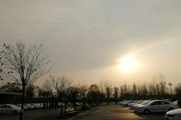 찢Ż
