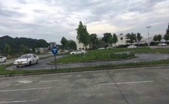 ĳֵŻ