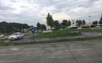 ŽֵŻ