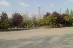 ջ籨Ż