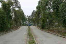 泰昶驾校