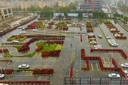 圆智驾校