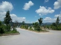 圆山驾校