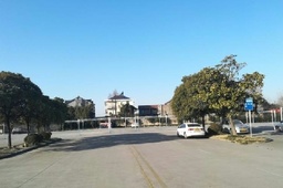 新天驾校