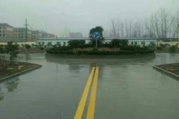 正直驾校