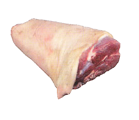 ǰ